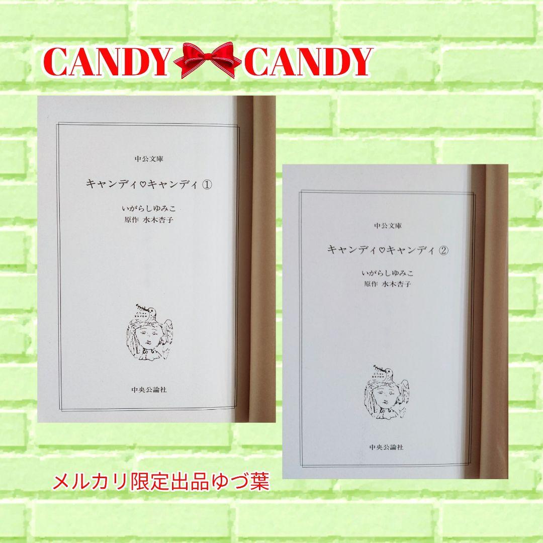 『キャンディ♡キャンディ』&『ジョージィ!』文庫版 全巻 いがらしゆみこ
