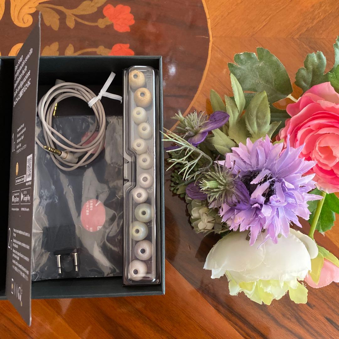 SONY WI-1000XM2 ワイヤレスノイズキャンセリングイヤホン ソニー