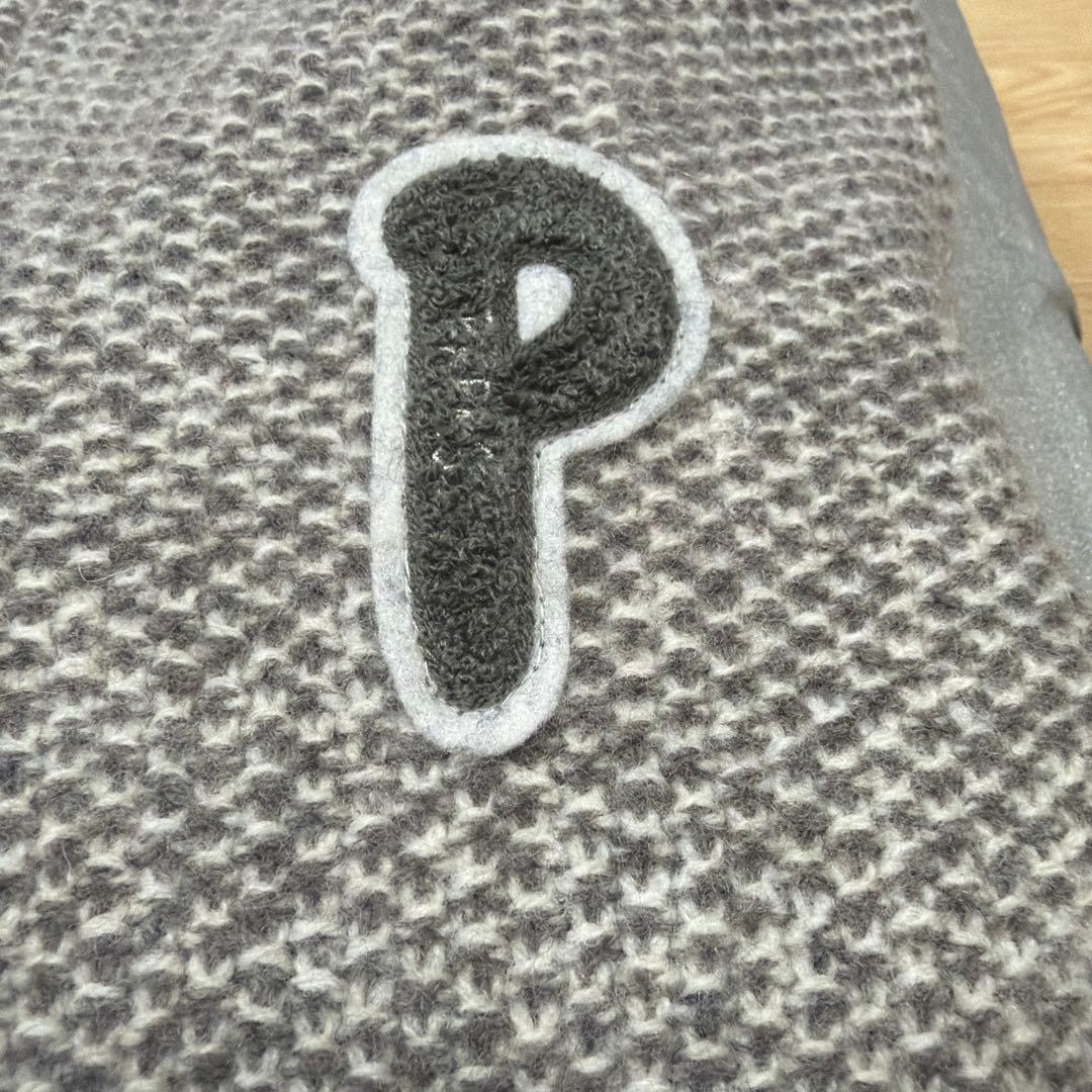 リクエスト値下美品Papas+カシミア混フルZIPスタンドカラベストLグレージュ