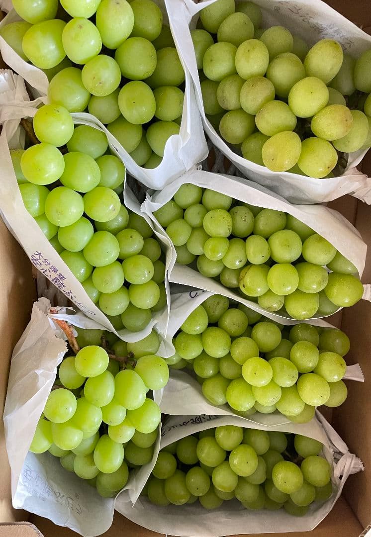 「週末セール」シャインマスカット5kg 房入り 訳あり ラスト