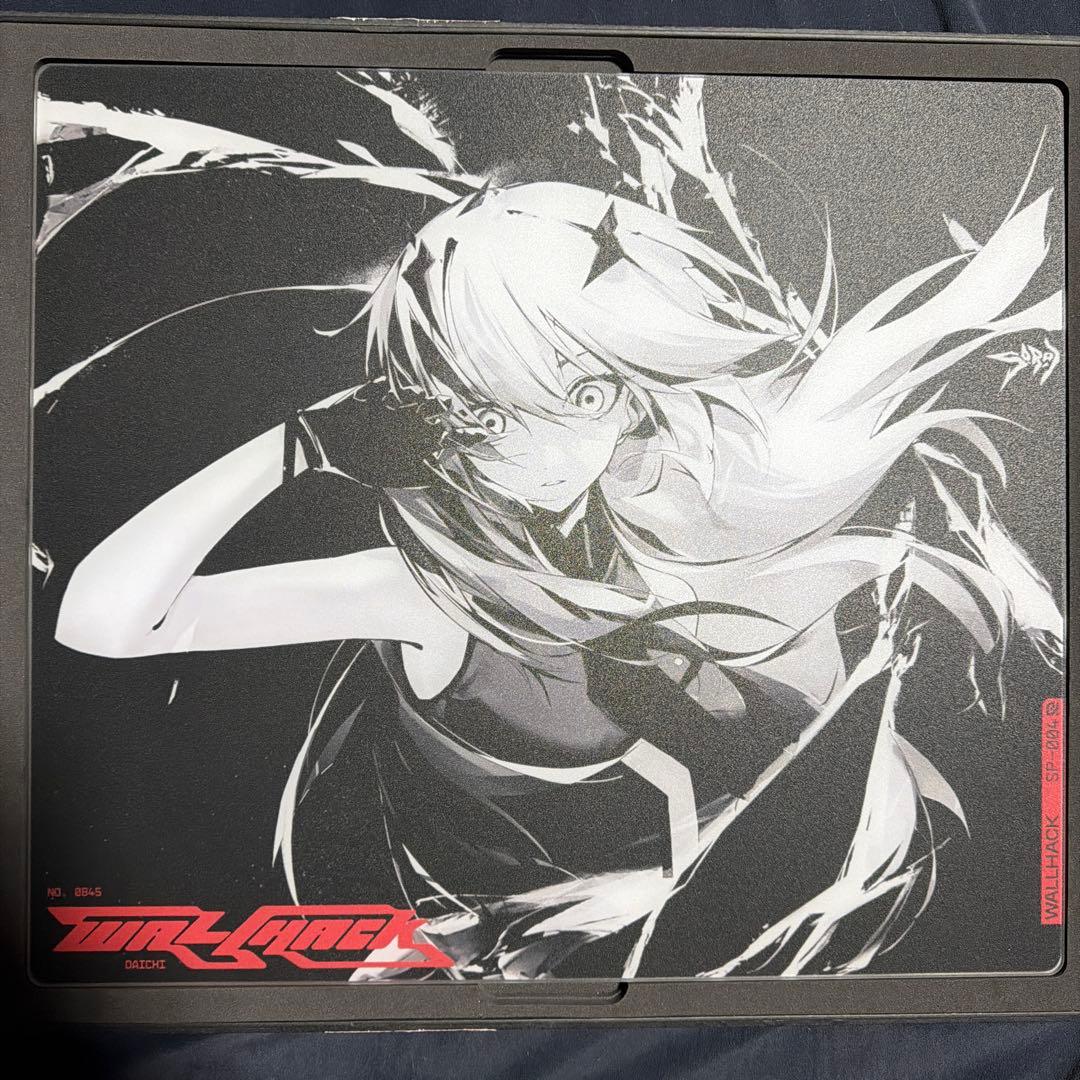 WALLHACK 限定版SP-004 Frenzy Sora