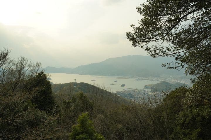 トキナー FiRIN 20mm F2 FE AF ソニーEマウント用