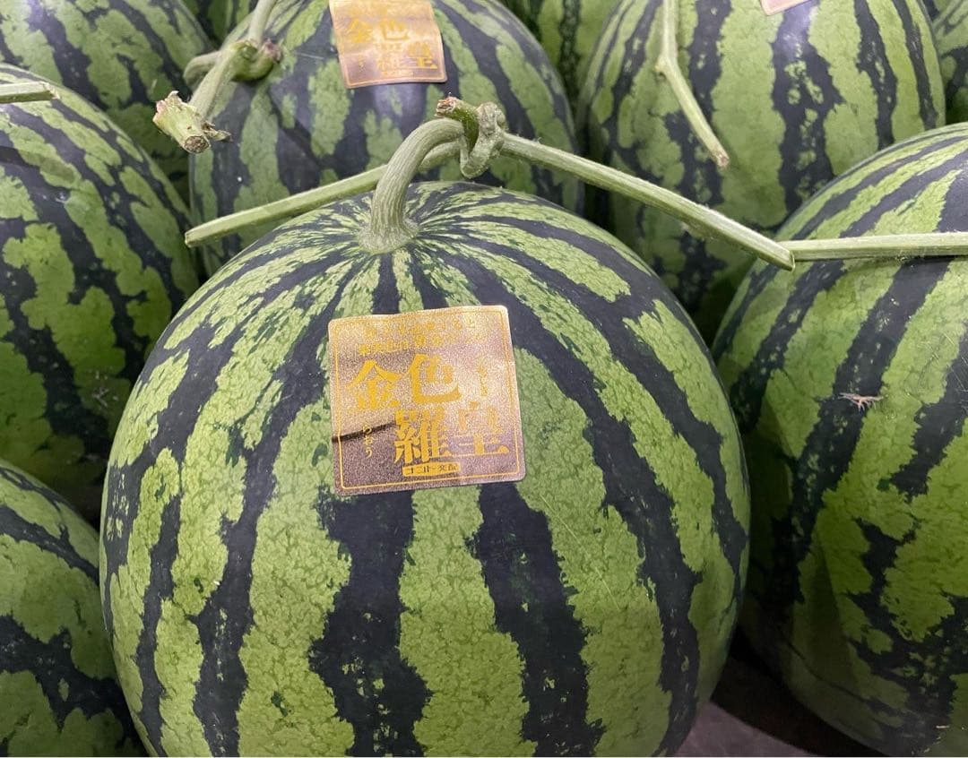 特大！金色羅皇4L2玉セットご家庭用19〜21k箱込　かめまる食堂