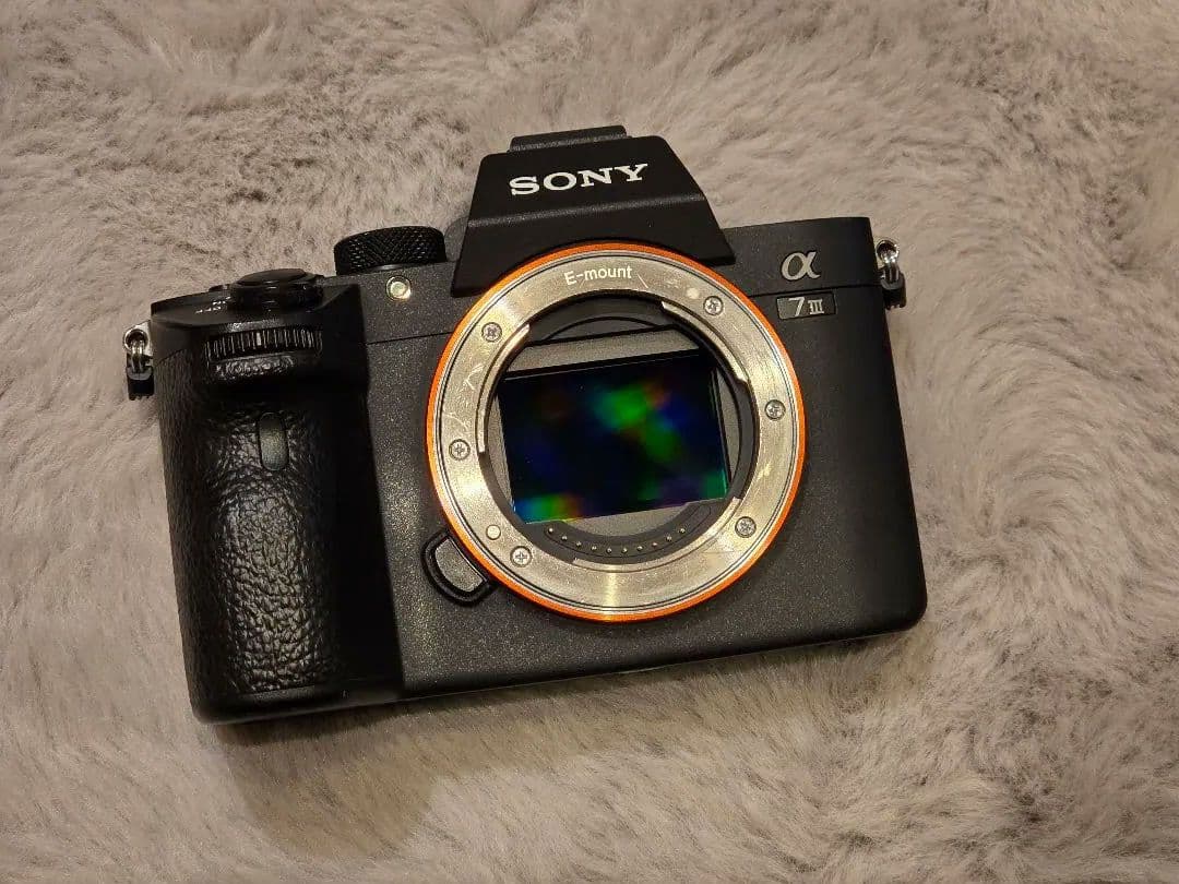 SONY α7 III 本体 + 付属アクセサリー / シャッター回数表示あり