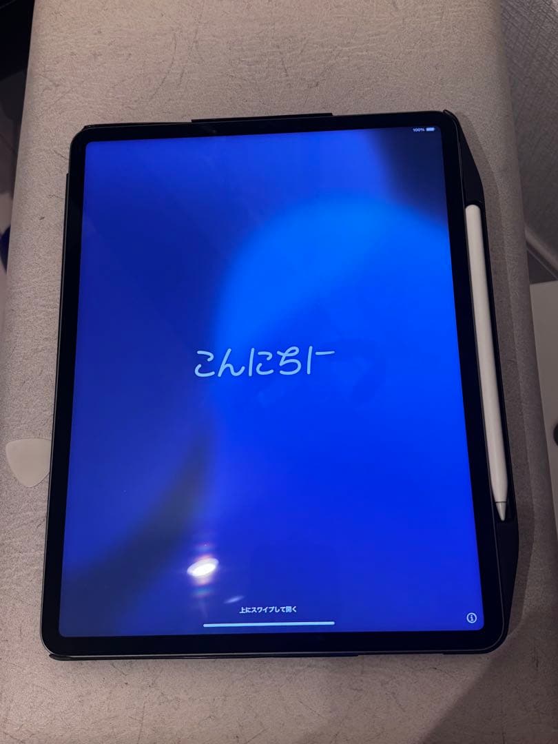【美品】iPad Pro (12.9インチ) 第5世代 256GBフルセット