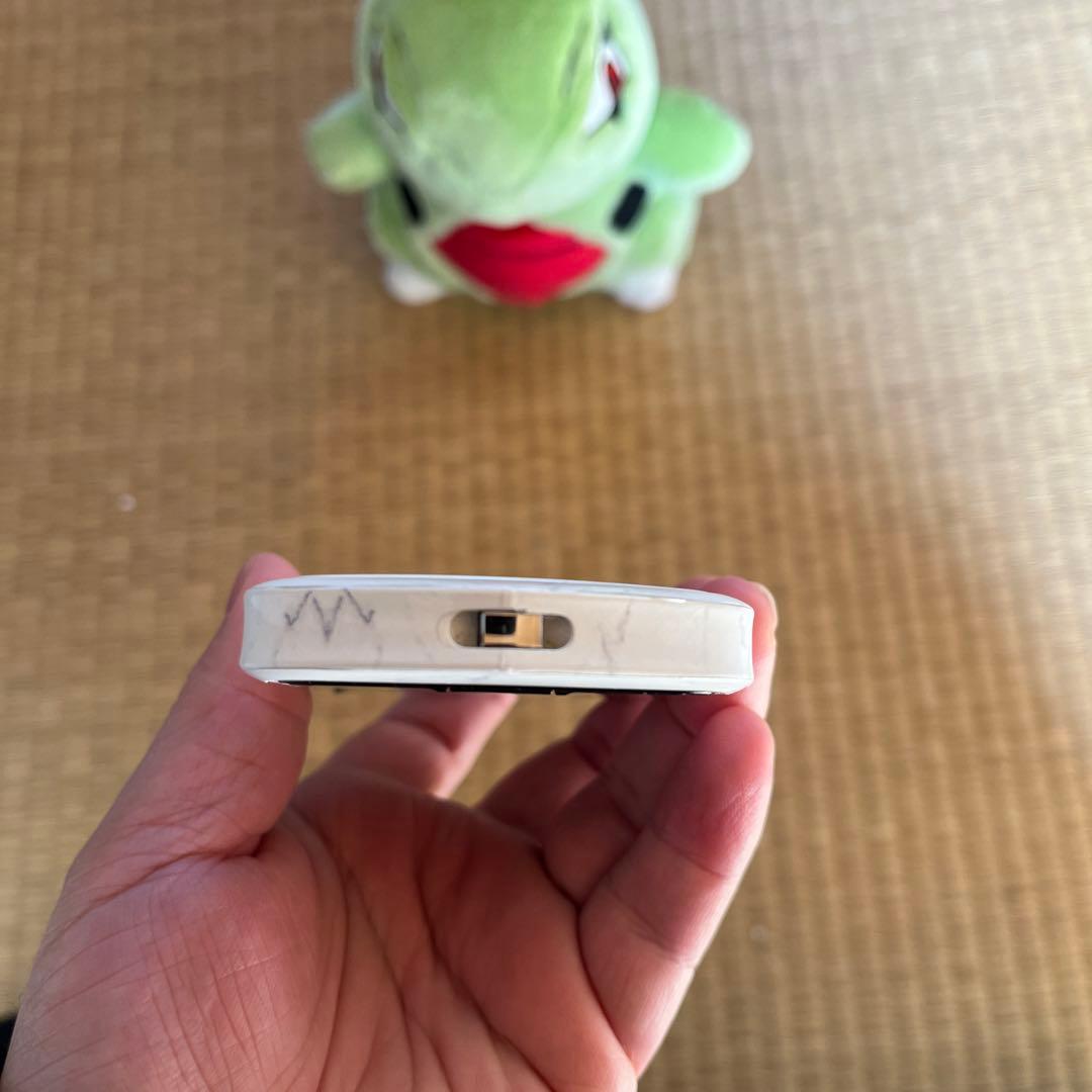 CASIO EXILIM EX-TR350 自撮りカメラ