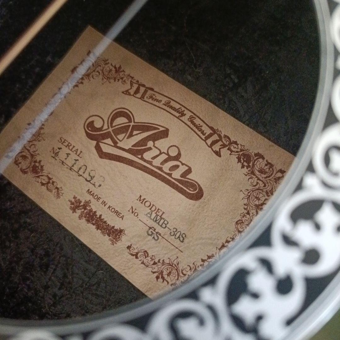 Aria アリア AMB-30S ソフトケース付き