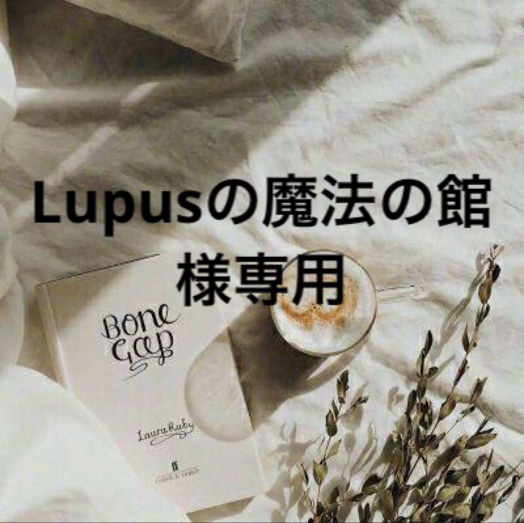 Lupusの魔法の館　プロフ必読　0523