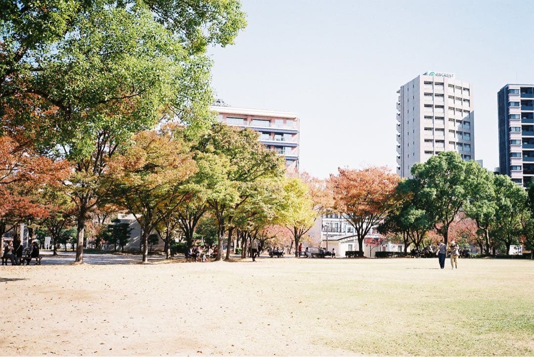 【AF・MF問題なし】CONTAX T2 チタンシルバー