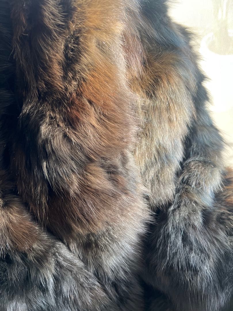 フェンディ　セーブルコート