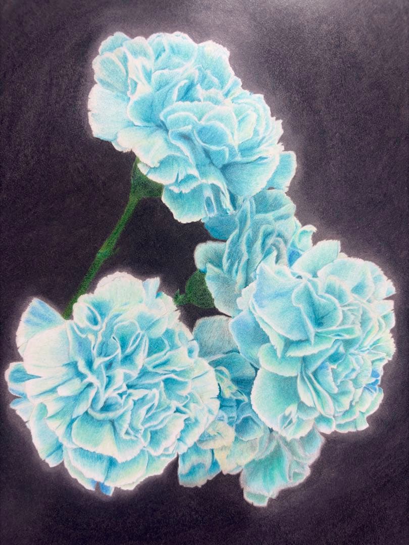 【ラゴス】輝きのエメラルドカーネーション(額装無し)