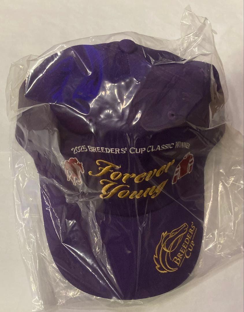 ウェルカムチャンス特別版フォーエバーヤング オリジナルキャップ