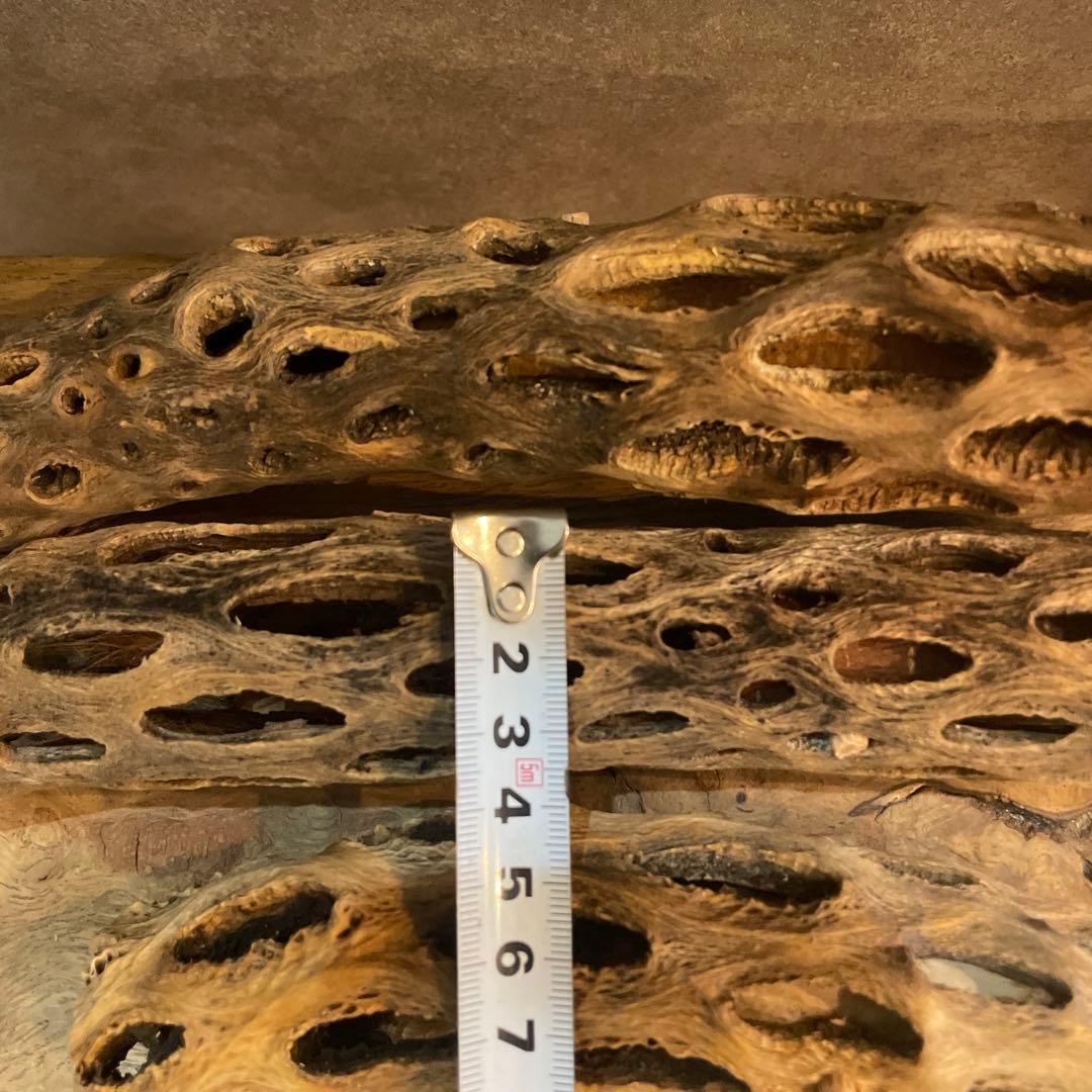 【まるさん専用】オーダーメイドカクタスパーチ相談ページ