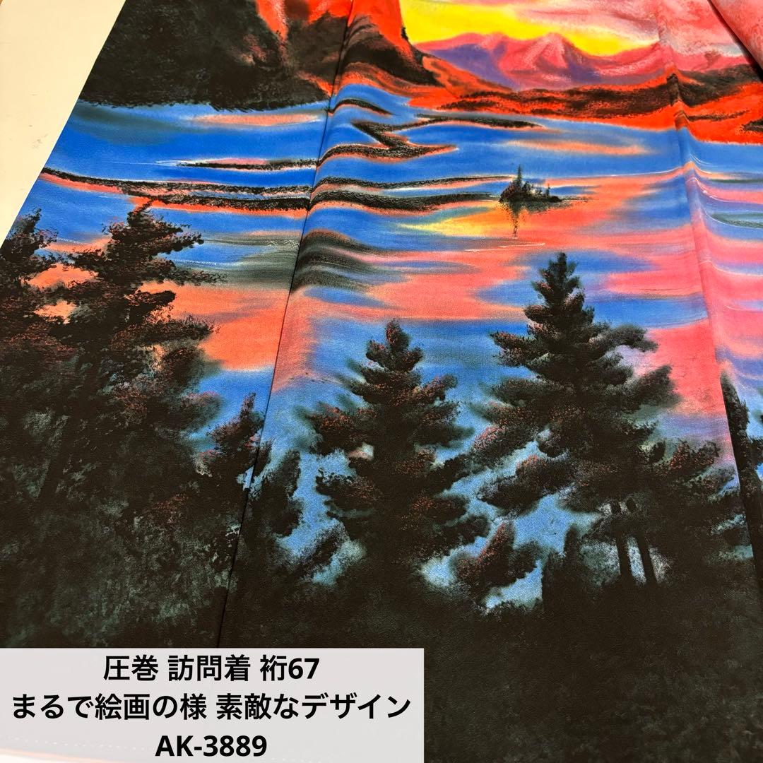 圧巻 訪問着 裄67 まるで絵画の様 素敵なデザイン 正絹 AK-3889