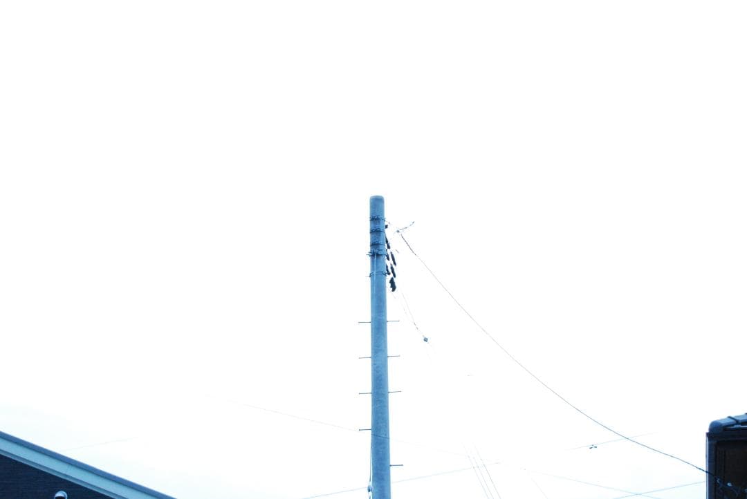 【新品級ショット数】Nikon D40x スマホ転送　すぐ撮影できる安心セット