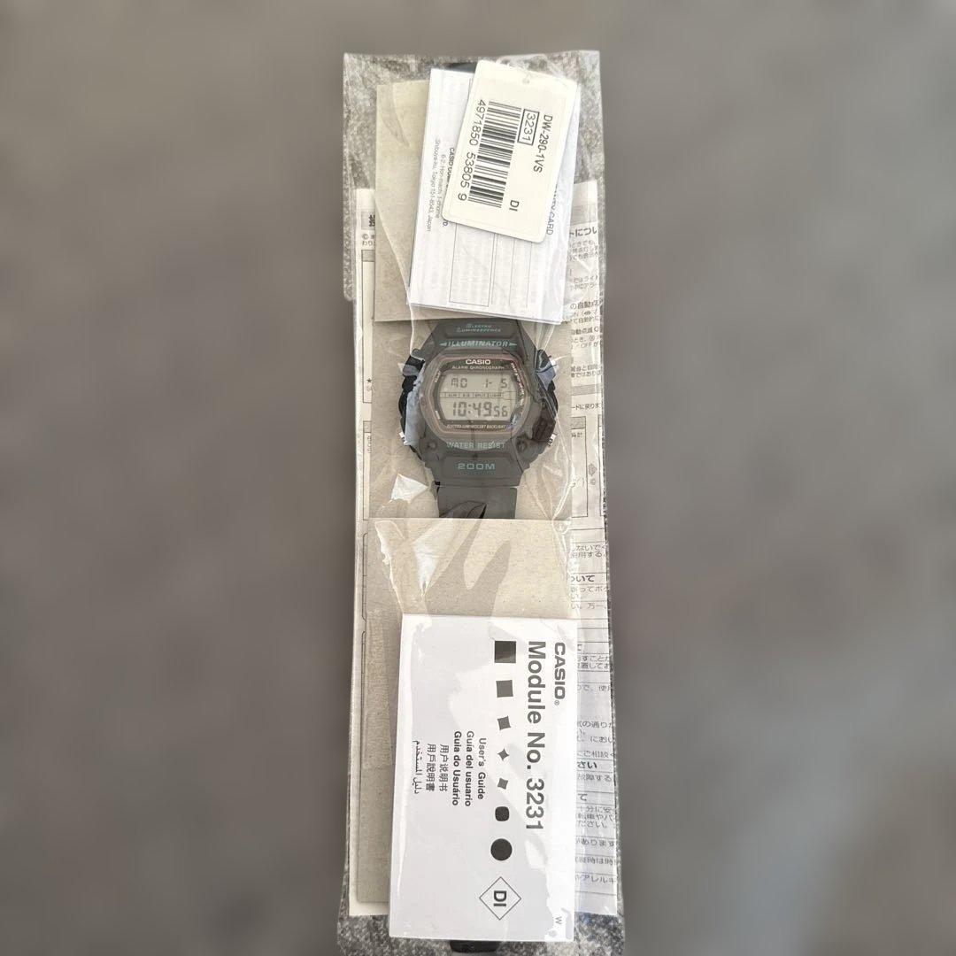 CASIO カシオ　dw-290