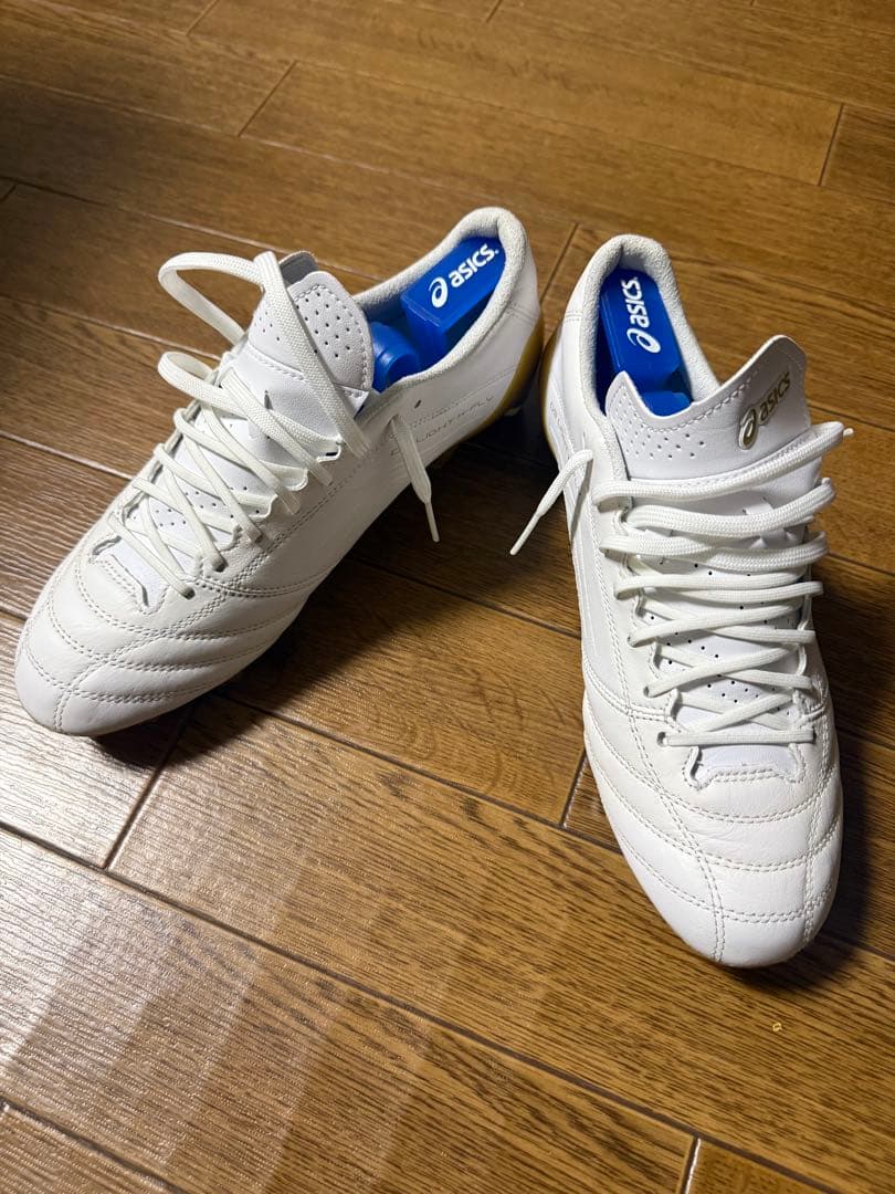 ありがとう アシックス DSライトX-FLY4 25cm