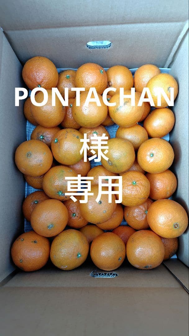 津之輝20㎏(家庭用)PONTACHAN#1