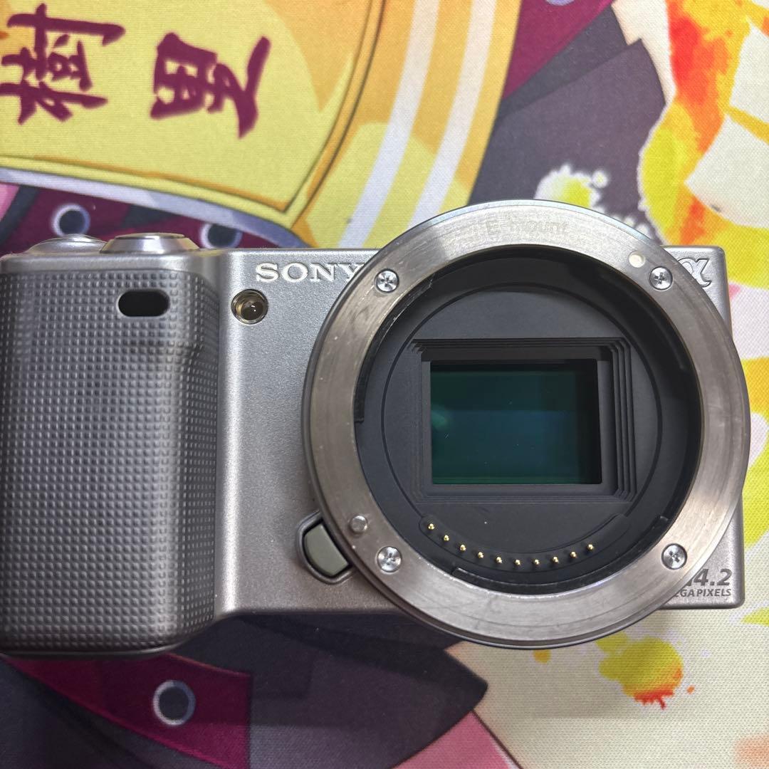 Sony NEX-5 ミラーレス一眼カメラ NEX5 本体