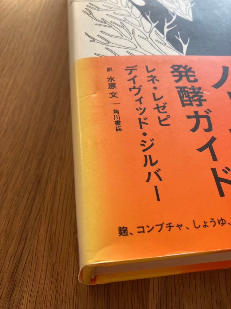 ノーマの発酵ガイド　日本語版