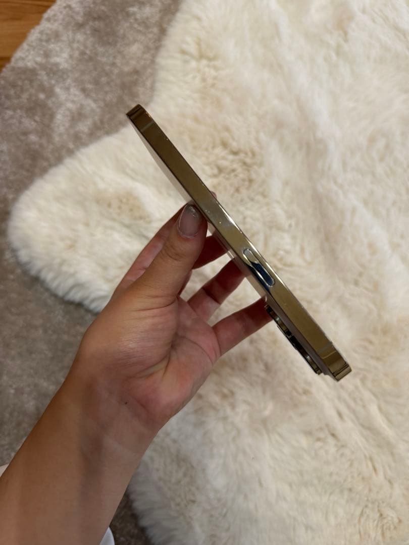 右京　Apple iPhone 14 Pro ゴールド 本体