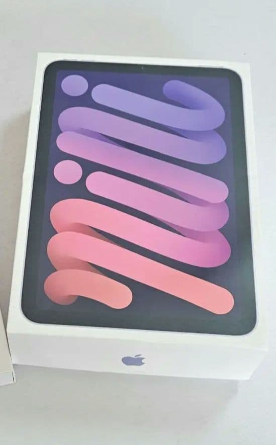 Apple iPad mini 6 256 WiFi 週末限定値下げ