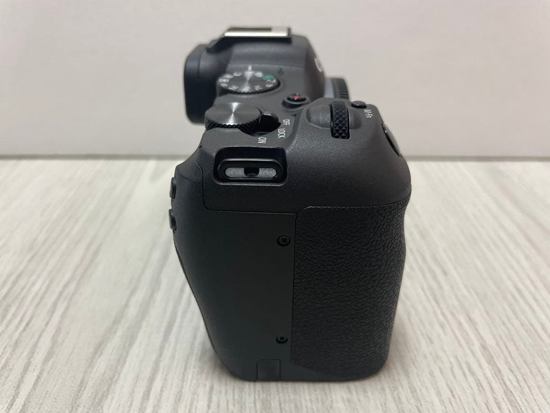 【桜さん専用】Canon EOS R8