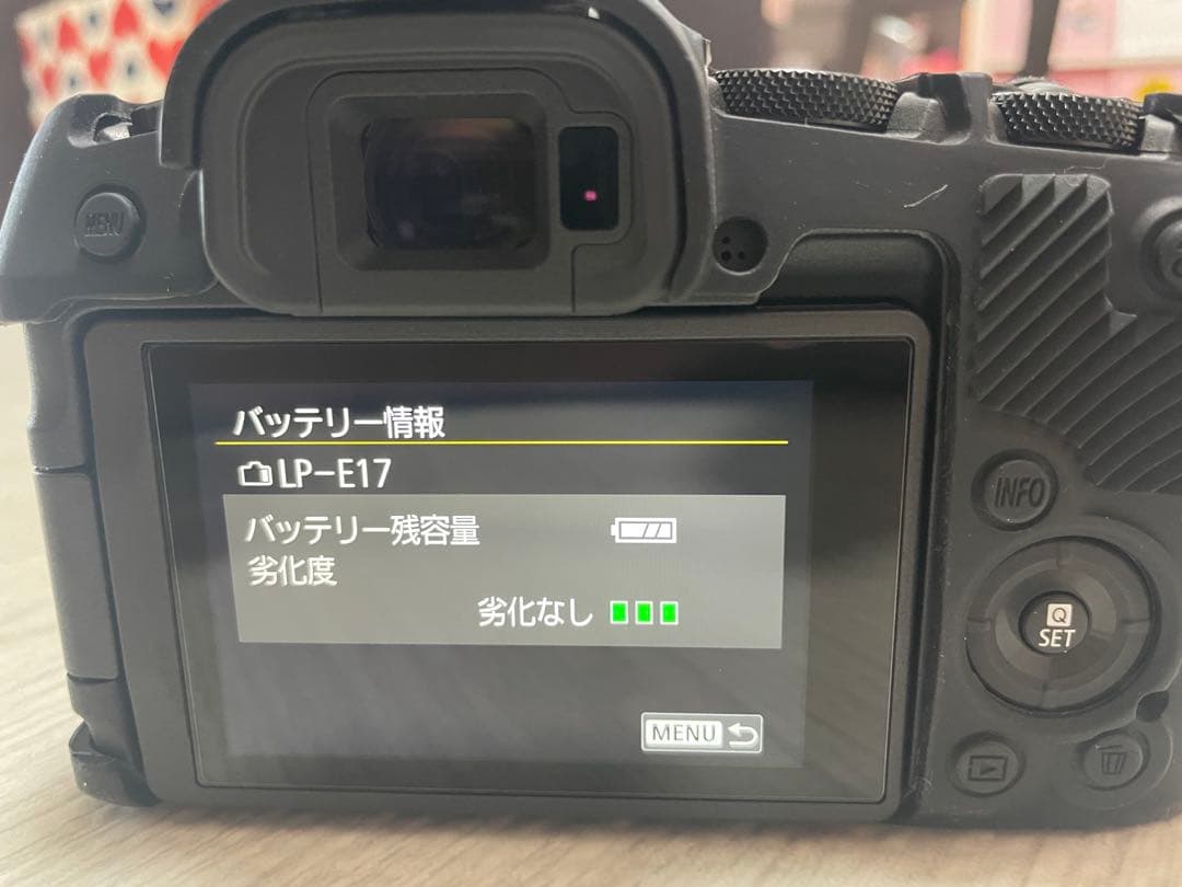【桜さん専用】Canon EOS R8