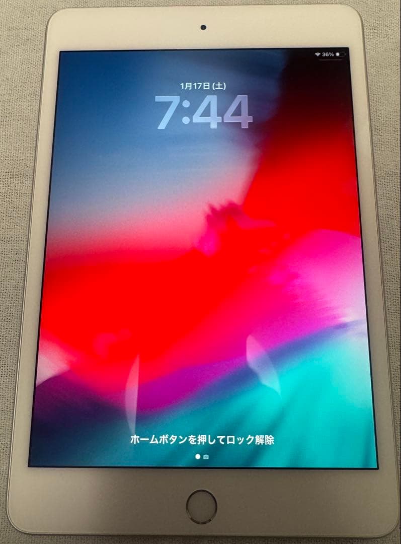 Apple iPad mini5 シルバー 本体