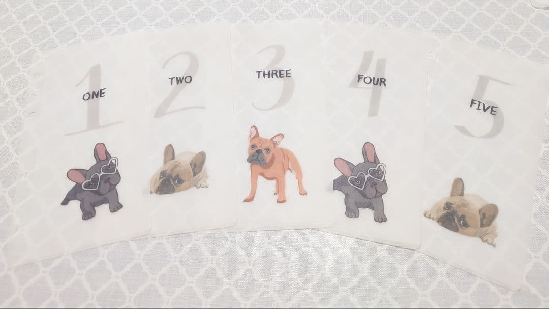 maruko.　30DaysSavingChallengeリフィル2セット