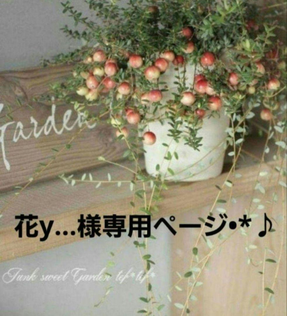 花y…さま専用です.・*’’*・.♬