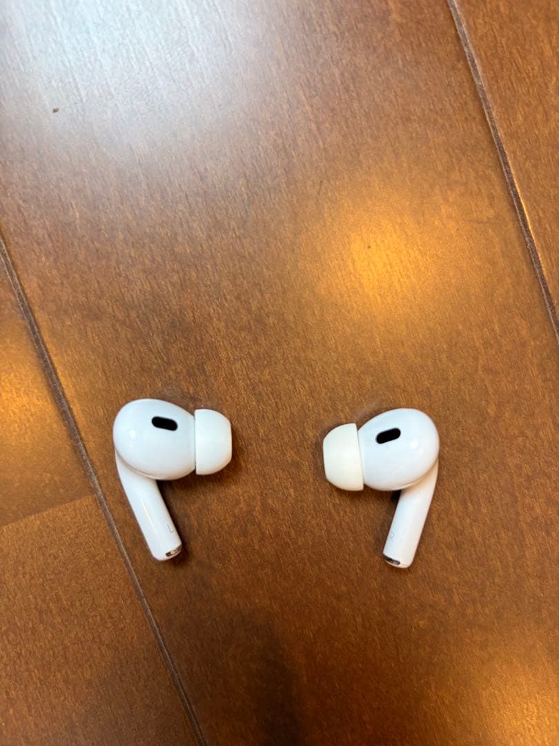 訳あり。AirPods Pro2 ケース タイプC イヤホンはジャンク第2世代