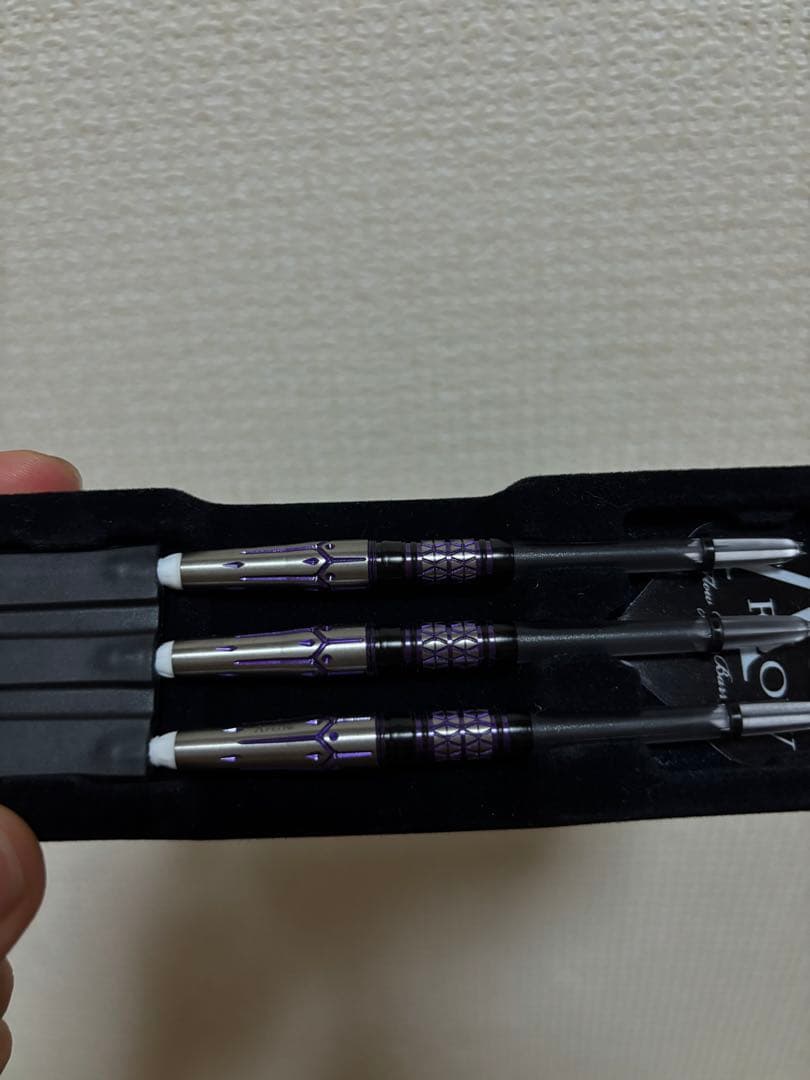 ダイナスティ アイビス 2