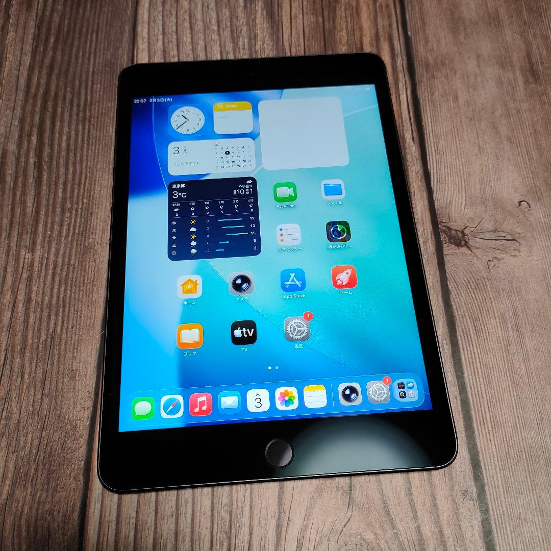 iPad mini 第5世代 64GB スペースグレー 超美品