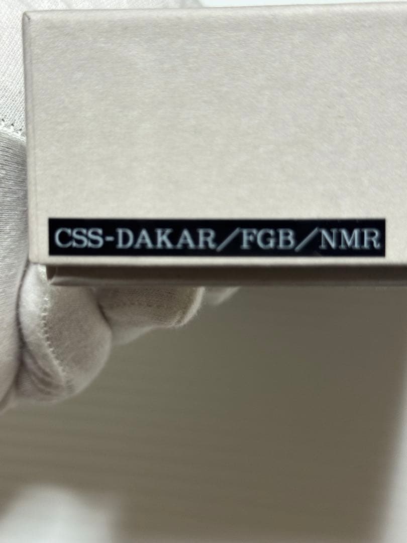 限定カラー　ワイルドスワンズ　ダカール　ニューマーケット