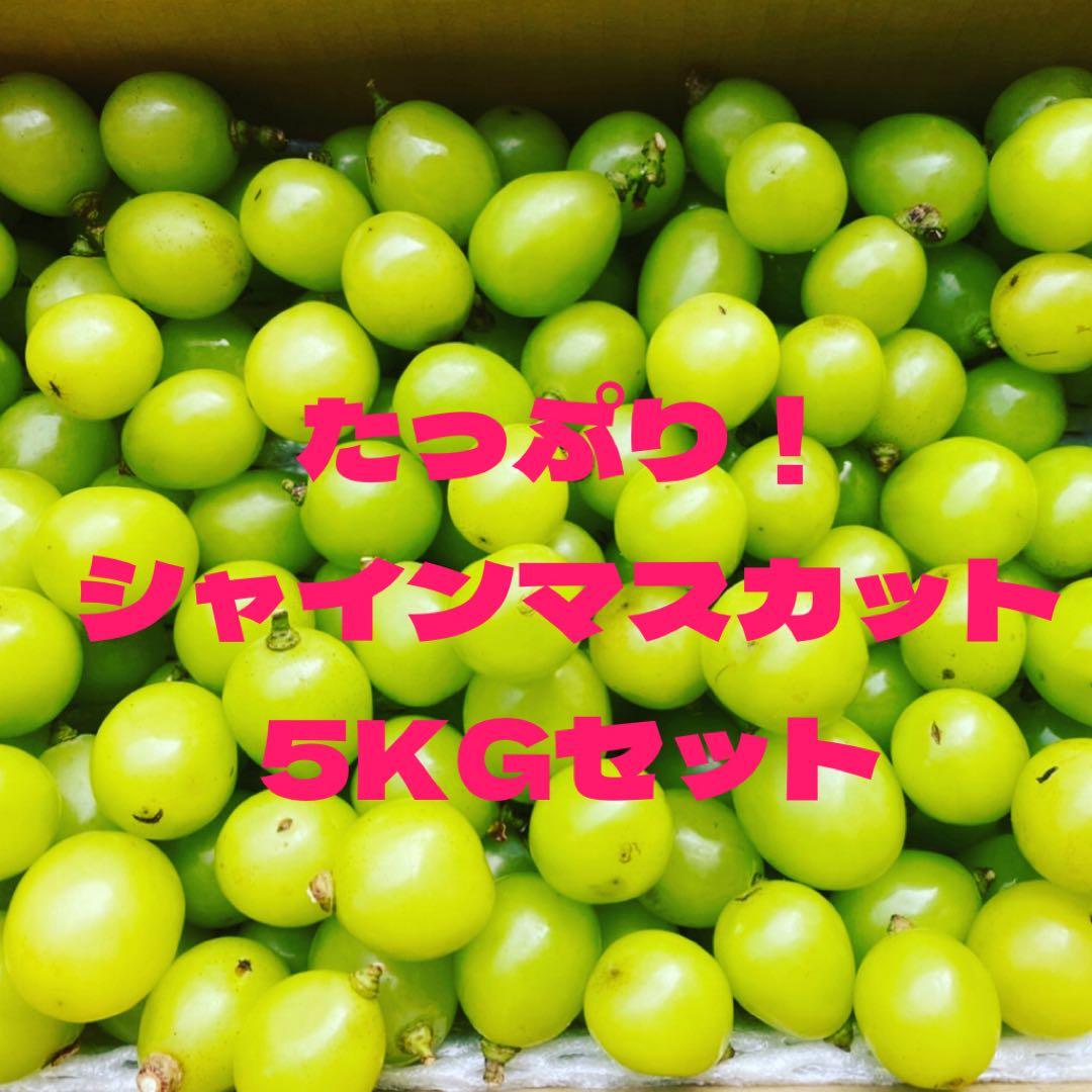 cafemocha様　長野県産　シャインマスカット　訳あり　粒売り　5kg