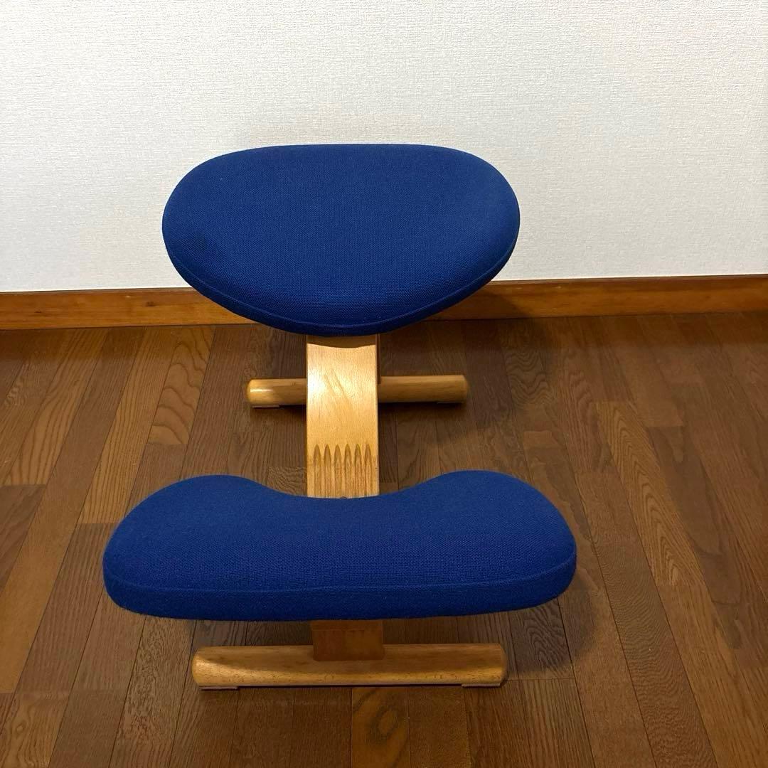 【匿名配送】バランスイージー ブルー 通常フレーム