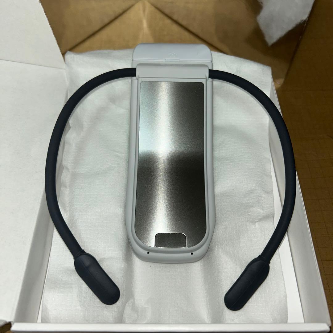 SONY ソニー レオンポケット プロ RNPK-P1+ケース