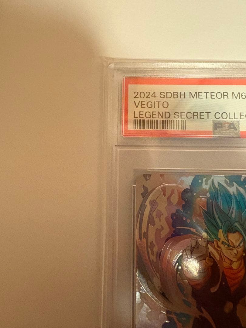 SH1-SEC2 LC ベジット　PSA10