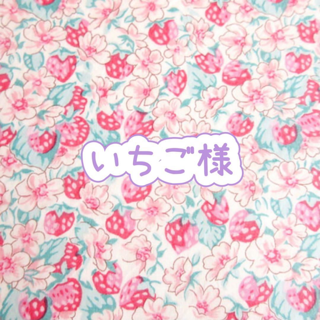 いちご様❤オーダーページ　ハンドメイド　ガーゼケット　シングル