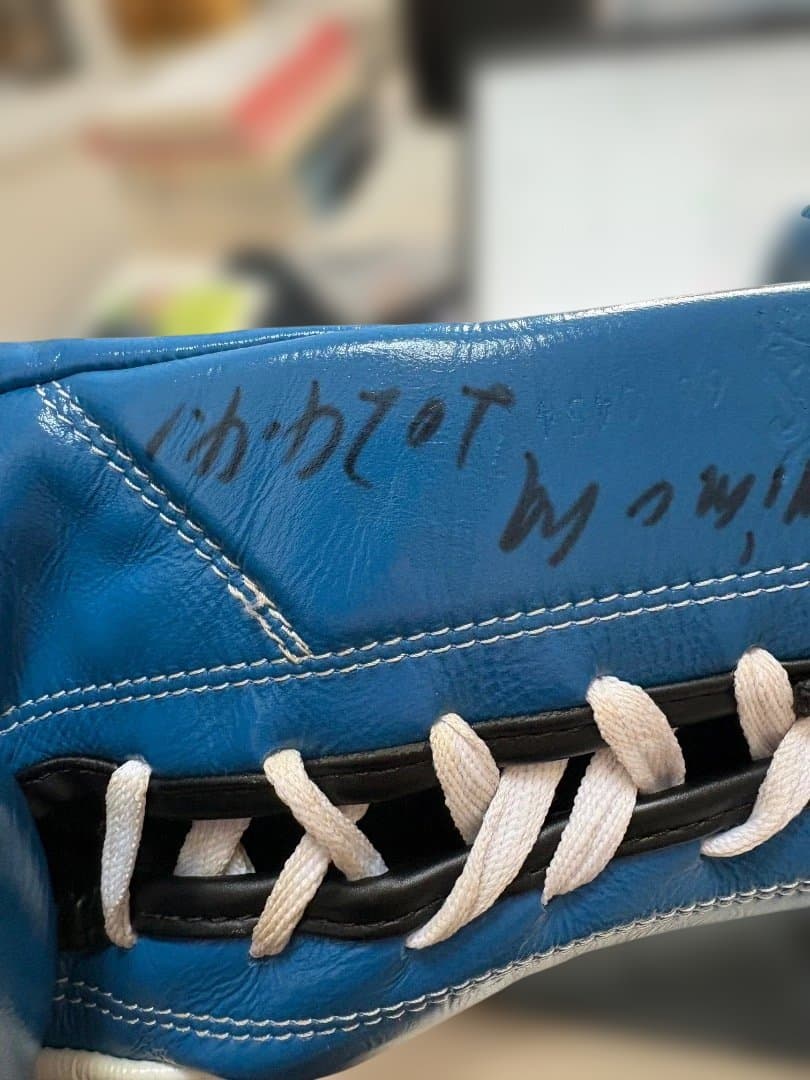 Reyes ボクシンググローブ