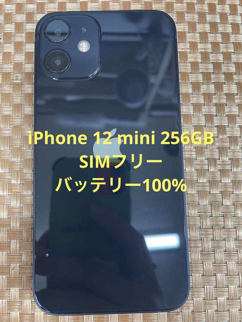 iPhone 12 mini 256 GBブラックSIMフリー【8530】