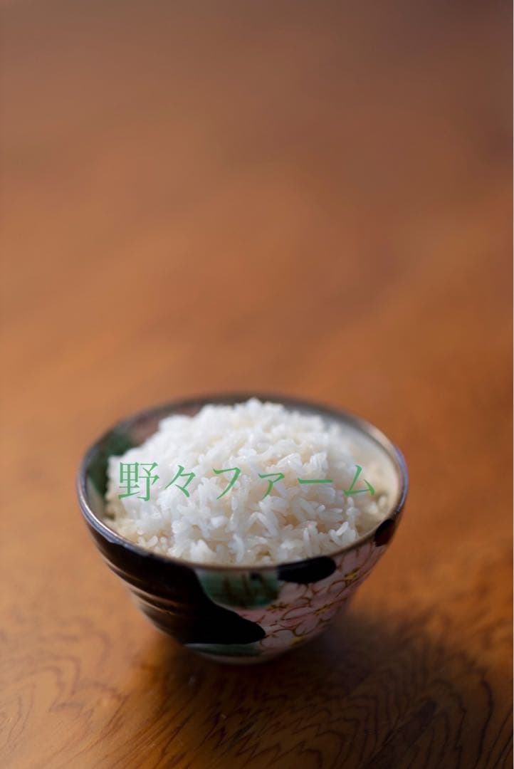 つや姫　10kg 令和7年　山形　特別栽培米