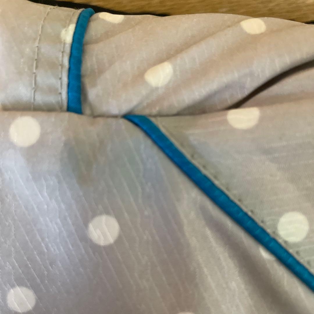 スキーウェア　上下セット　レディース　PURECONSCIOUS Lサイズ