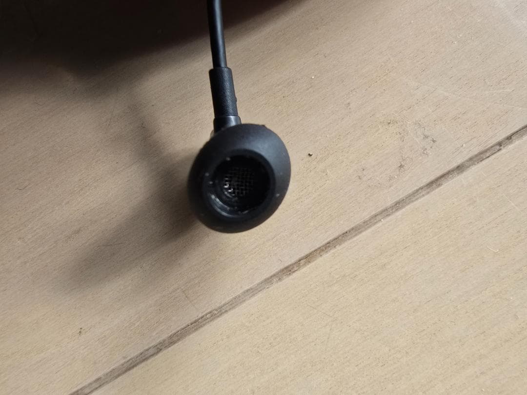 ゼンハイザー　IE800S　写真に映っているものがすべてです