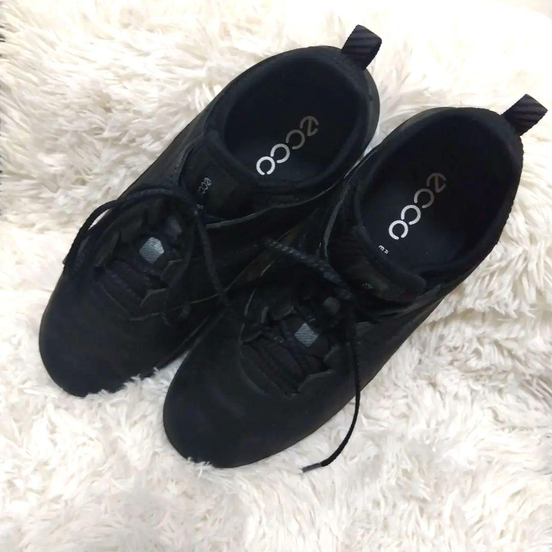 定価38500円 ecco エコー ゴルフシューズ スパイクレス バイオム