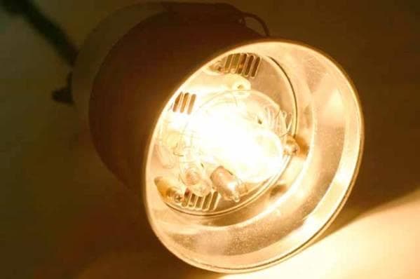 北欧の閃光! プロフォト profoto pro acute ヘッド アキュート