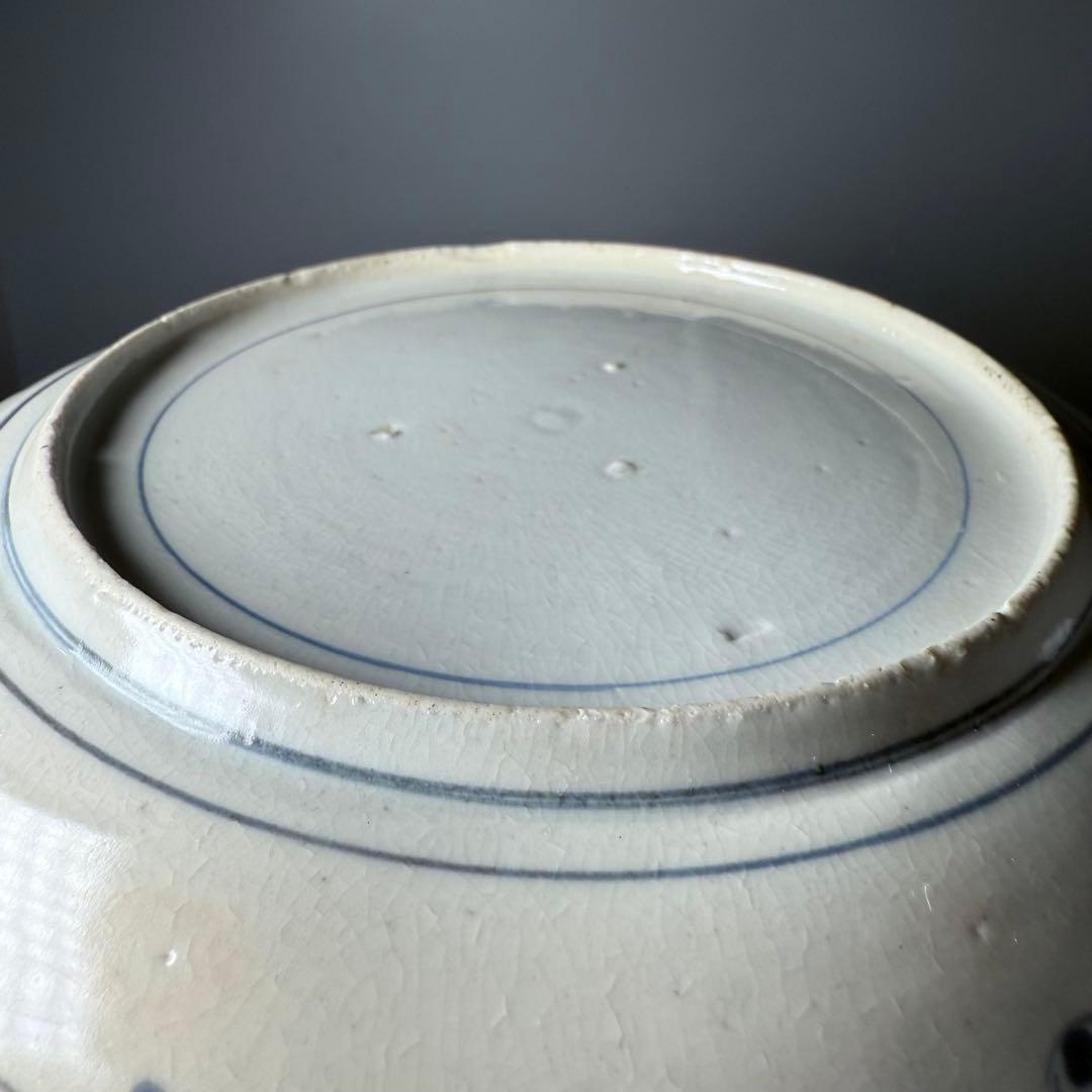 江戸中期　古伊万里　染付鳥蝶図七寸皿　裏唐草　鳥の躍動感！　20.4cm 古美術