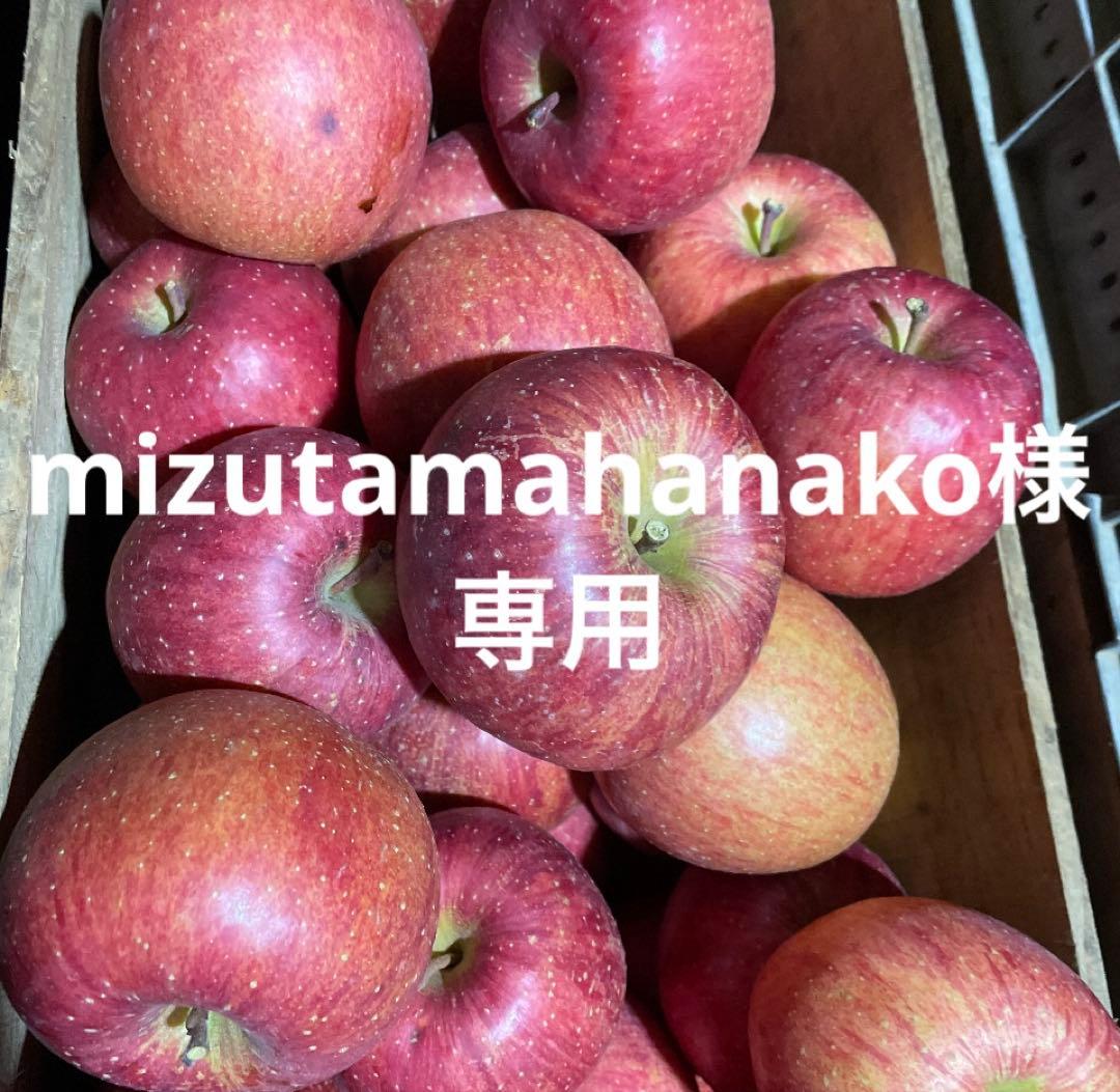 果物 mizutamahanako