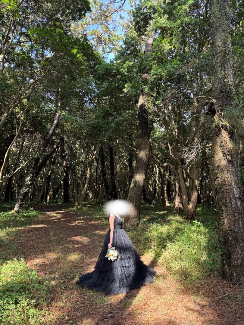 ディープV ブラックウエディングドレス（ブラックドレス）